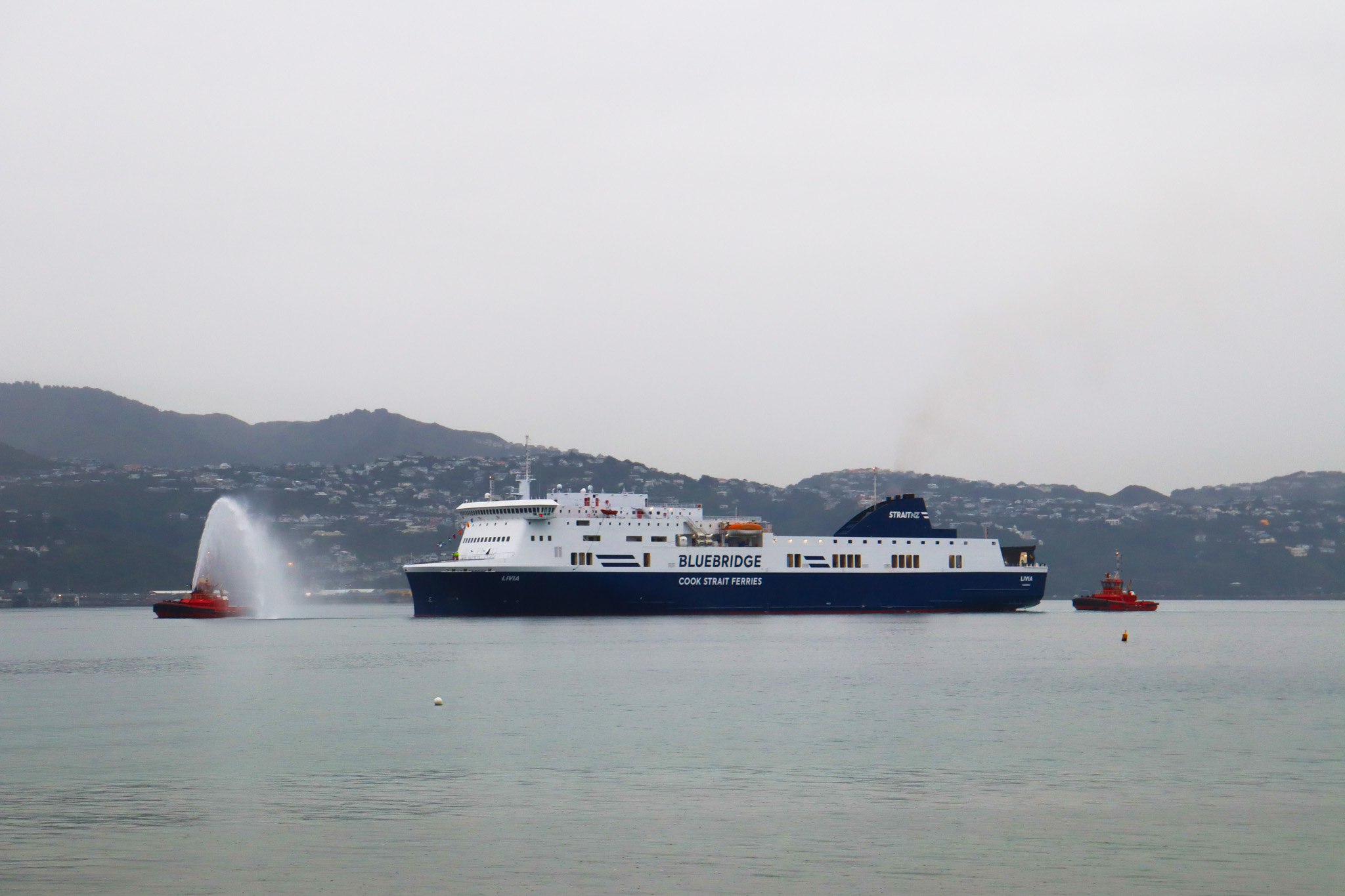Le ferry mixte Livia arrive pour la première fois à Wellington (Nouvelle-Zélande).